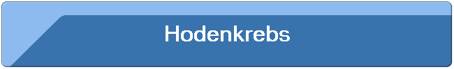 Hodenkrebs