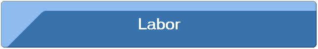 Labor