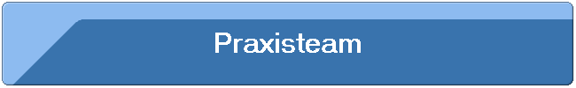 Praxisteam