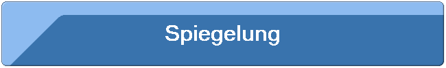 Spiegelung